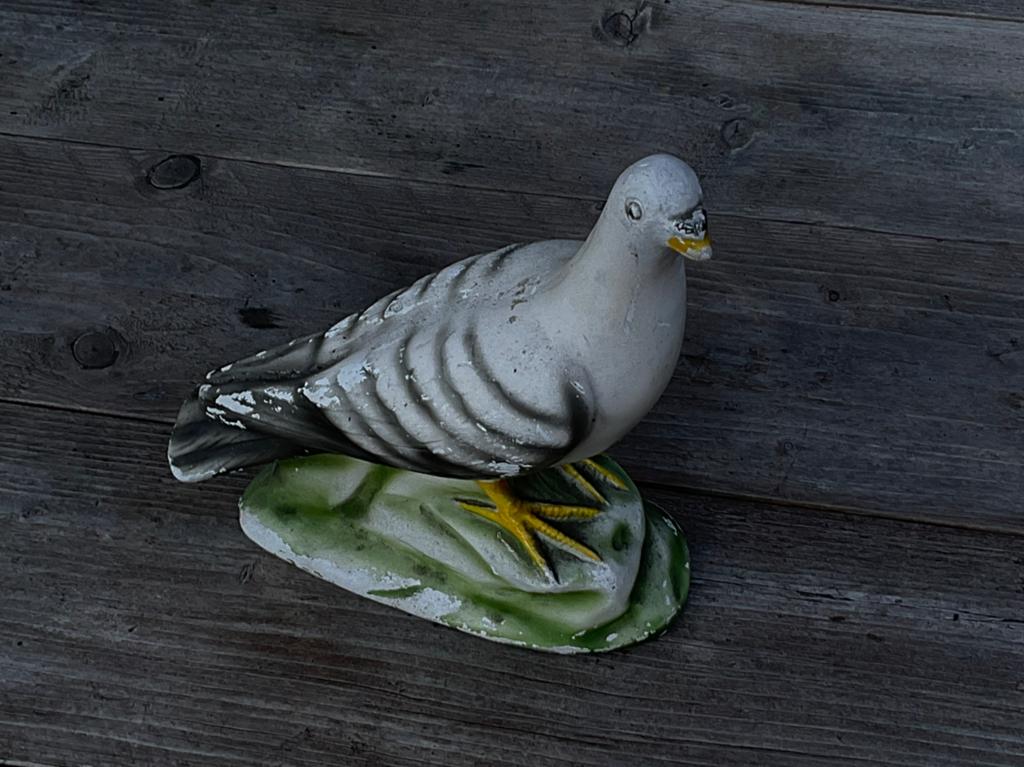 Leuke gipsen duif, Tuin en Terras, Tuinbeelden, Ophalen, Gebruikt, Overige materialen, Dierenbeeld