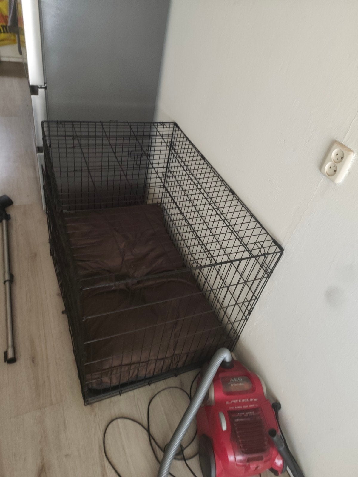 honden bens, Ophalen