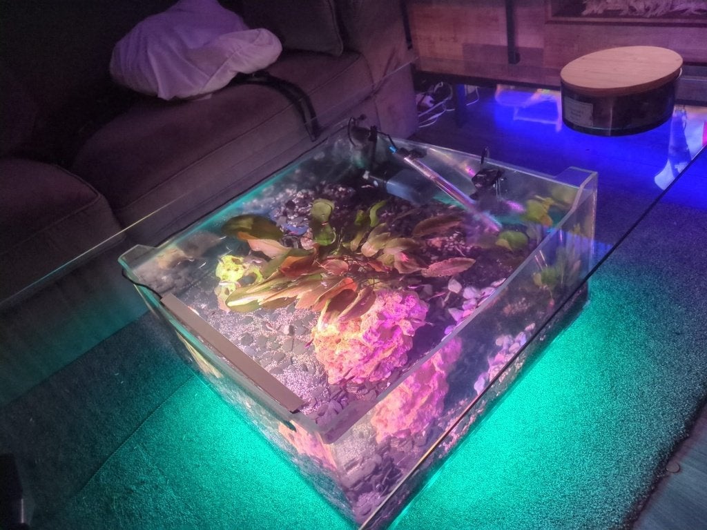 jonge guppies verschillende kleuren, Ophalen, Inclusief vissen, Nieuw, Gevuld zoetwateraquarium