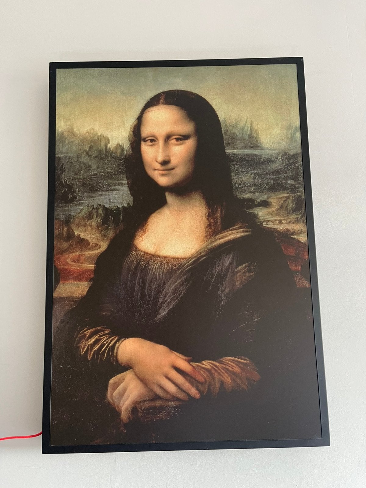 Mona Lisa LED Wanddecoratie – Limited Edition 2019 – Design, Ophalen