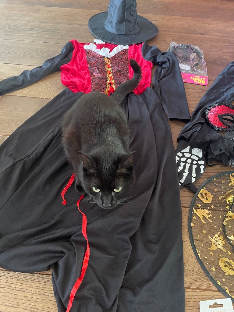 Groot Halloween / Carnaval pakket - Kostuums & Decoratie, Hobby en Vrije tijd, Feestartikelen, Ophalen, Zo goed als nieuw, Overige typen
