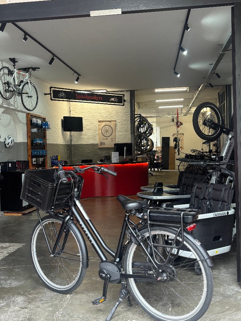 Gazelle Heavy Duty Moederfiets HMP - Zwart, Ophalen, Gebruikt, Gazelle, Spaakmakers@gmail.com