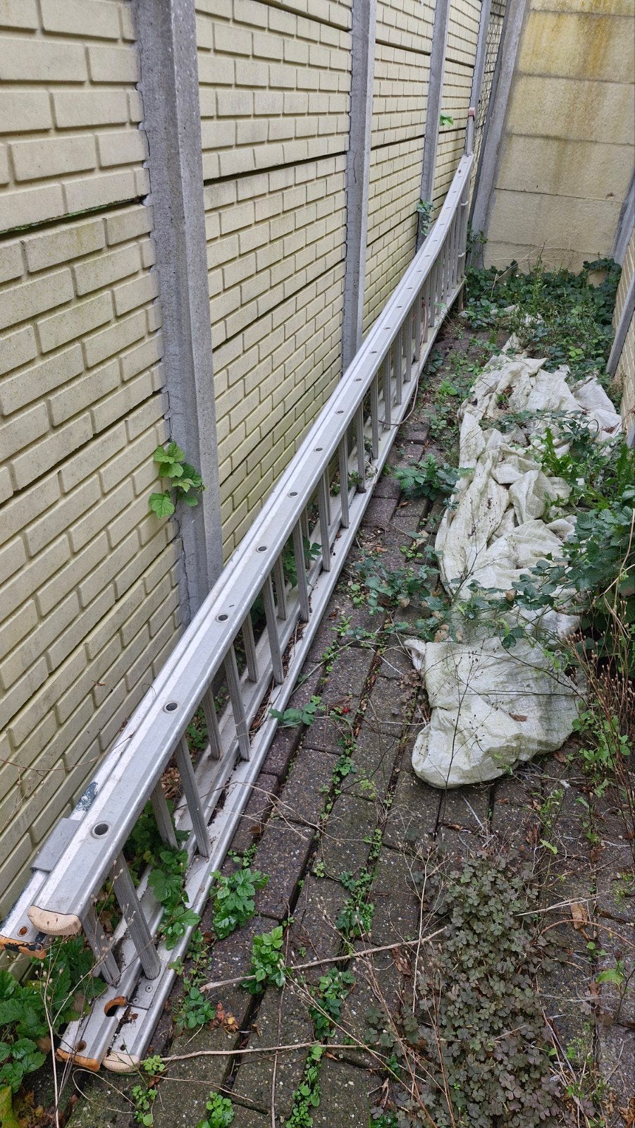 ladder 2 x 20 aluminium
