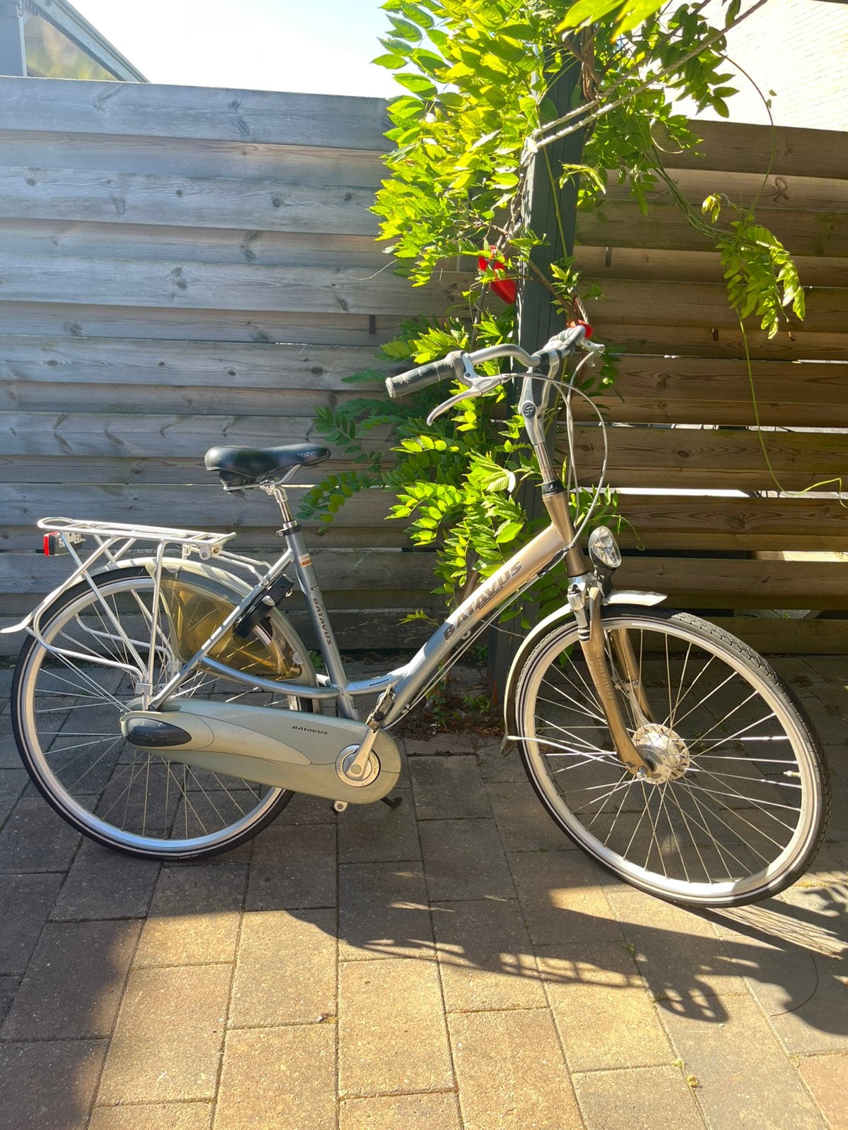 Nette batavus damesfiets - goed onderhouden, 53 tot 56 cm, Versnellingen, Batavus, Ophalen of Verzenden