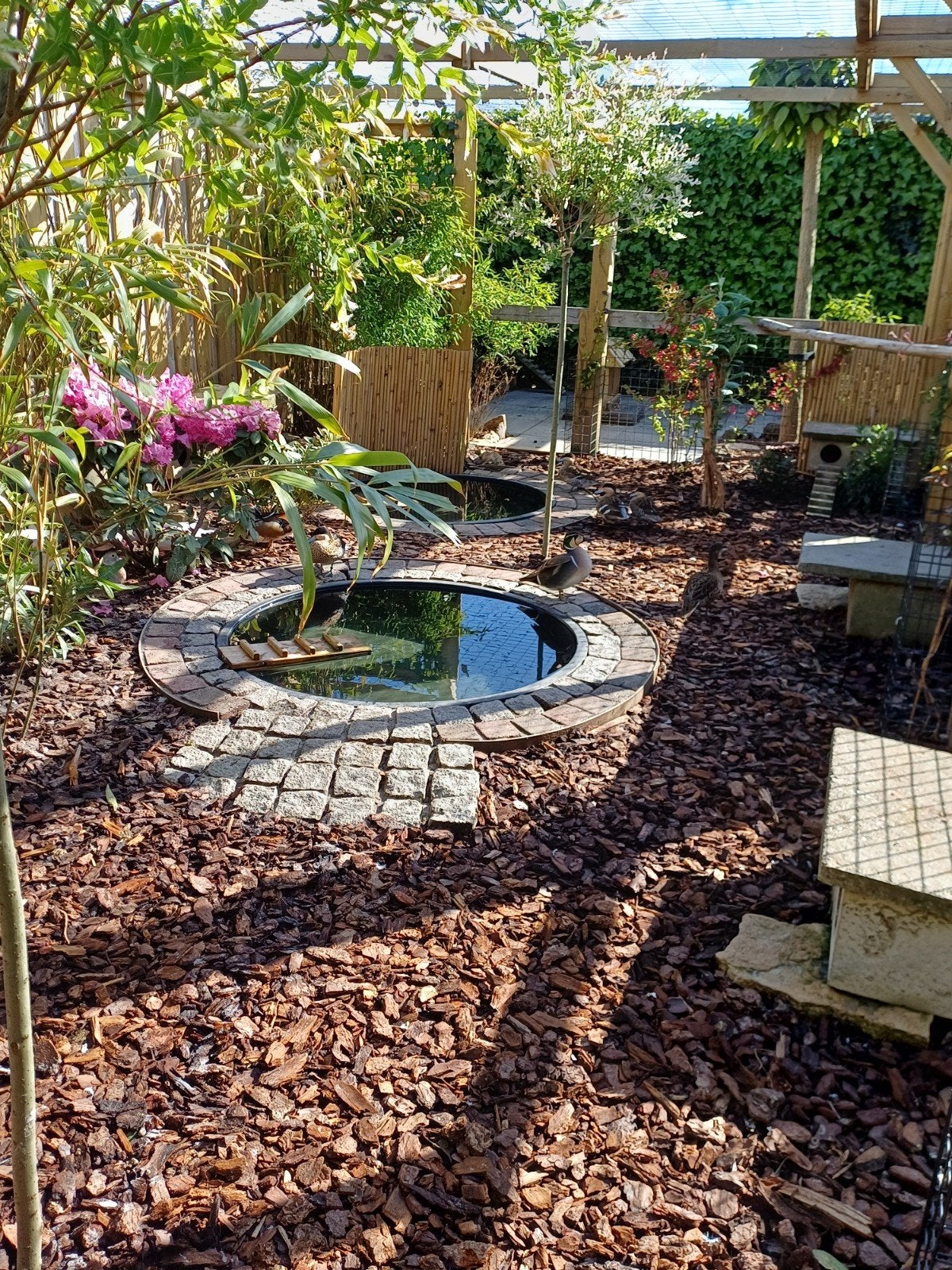 ronde kuip als vijver of bak voor waterplanten, Tuin en Terras, Vijvers, Ophalen, Gebruikt