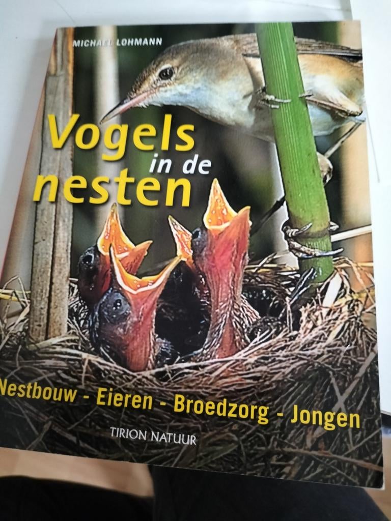 Vogels in de nesten - Michael Lohmann, Ophalen