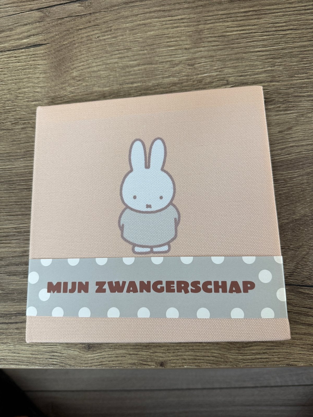 Nijntje 9 maanden dagboek: Mijn Zwangerschap, Ophalen of Verzenden, Zo goed als nieuw, Zwangerschap en Bevalling