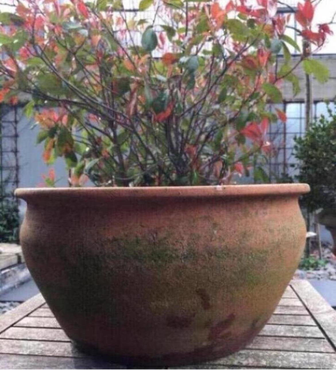 Prachtige Oud Hollandse terracotta bloempot 36cm, Gebruikt, Rond, Binnen, Minder dan 40 cm