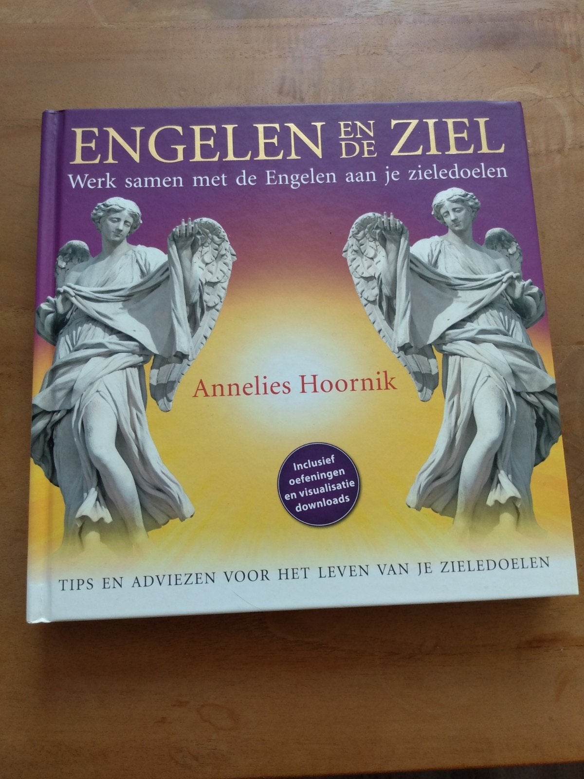 Annelies Hoornik - Engelen en de ziel. Ñieuw en ongelezen, Overige typen, Nieuw, Ophalen of Verzenden, Annelies Hoornik