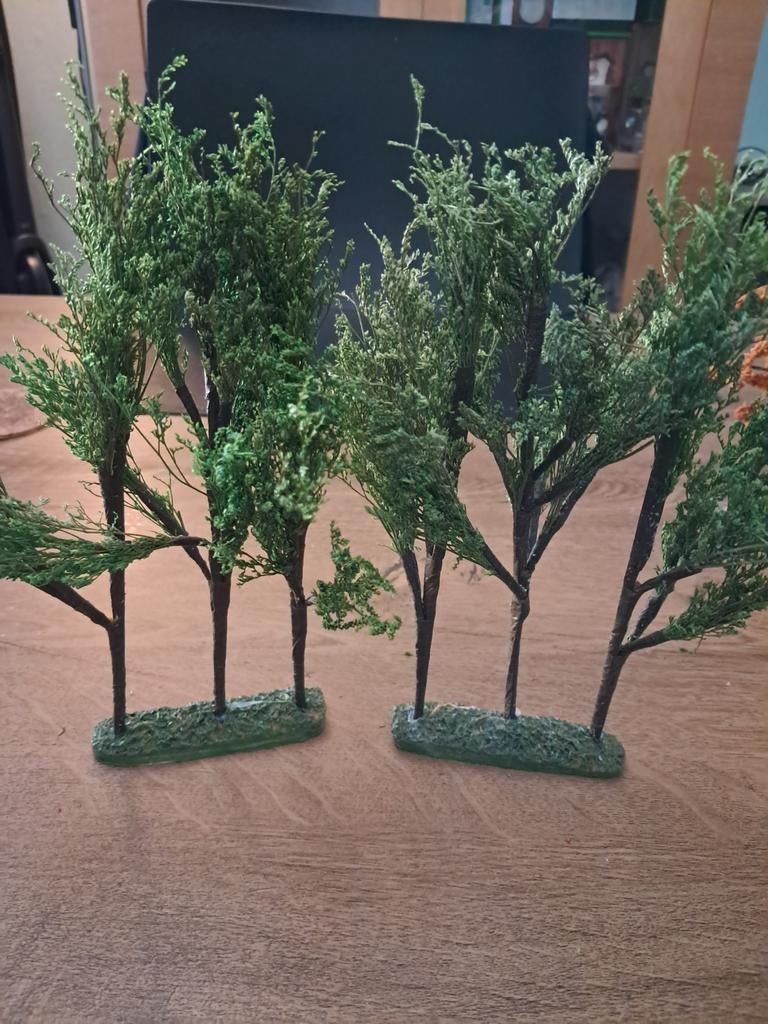 Intratuin 2 bomen voor kerstdorp, Ophalen