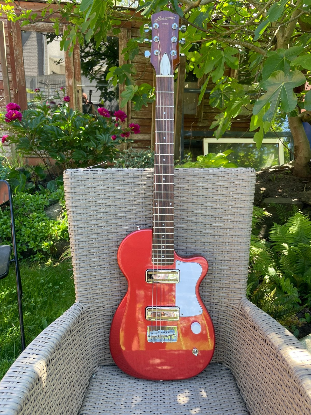 Harmony Juno USA, Muziek en Instrumenten, Ophalen, Zo goed als nieuw, Solid body, Overige merken