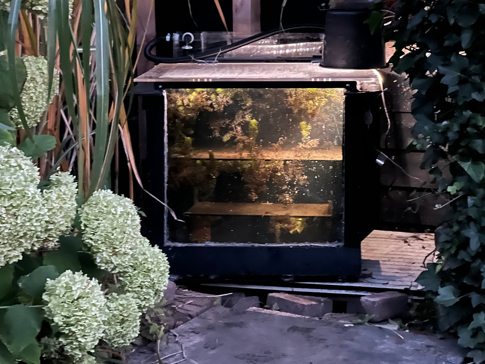 Vijver, Tuin en Terras, Vijvers, Ophalen, Zo goed als nieuw