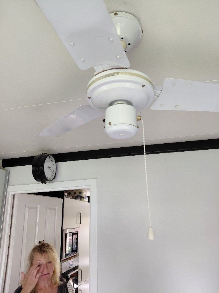 Plafon ventilator, Witgoed en Apparatuur, Ophalen of Verzenden, Gebruikt, Plafondventilator