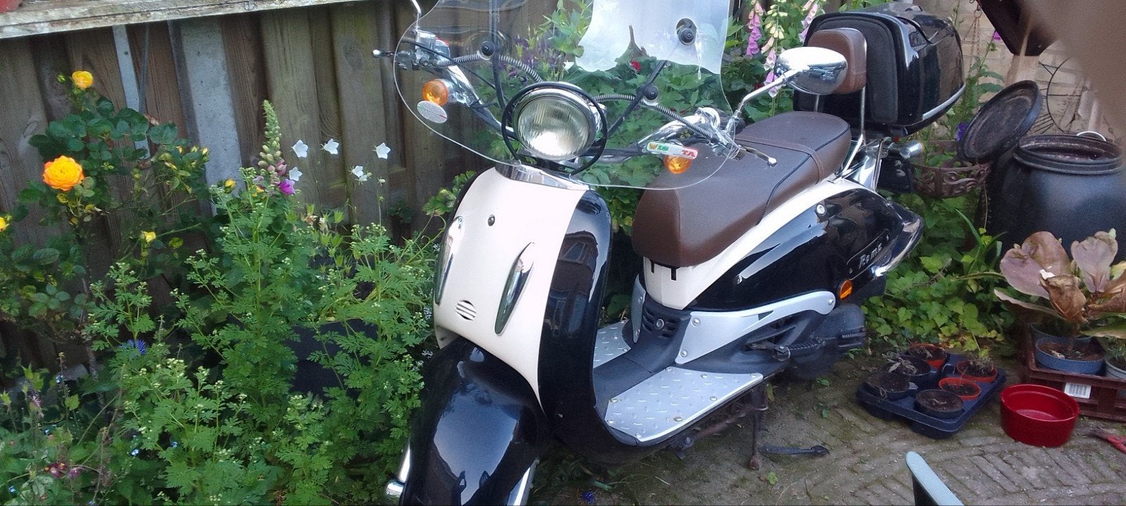 Snorscooter znen roma, Ophalen, Gebruikt, Benzine