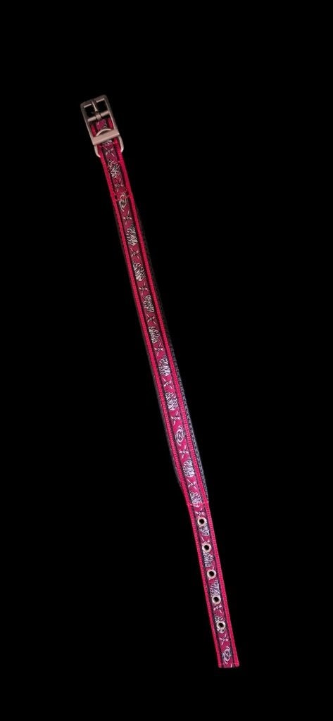 honden halsband - rood / 50 cm, Ophalen of Verzenden, Nieuw