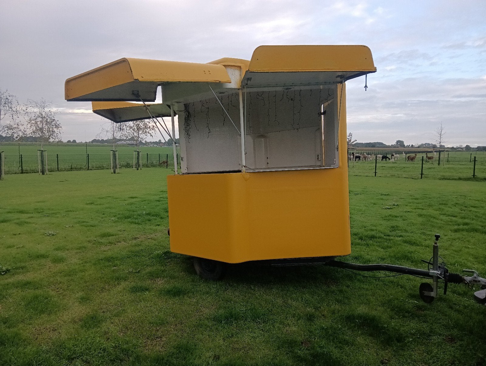 Verkoopwagen/foodtruck - Ideaal voor evenementen, Ophalen, Gebruikt