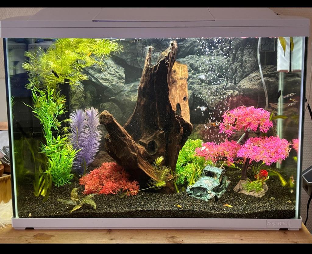 Superfish start 100, Dieren en Toebehoren, Vissen | Aquaria en Toebehoren, Ophalen, Leeg aquarium