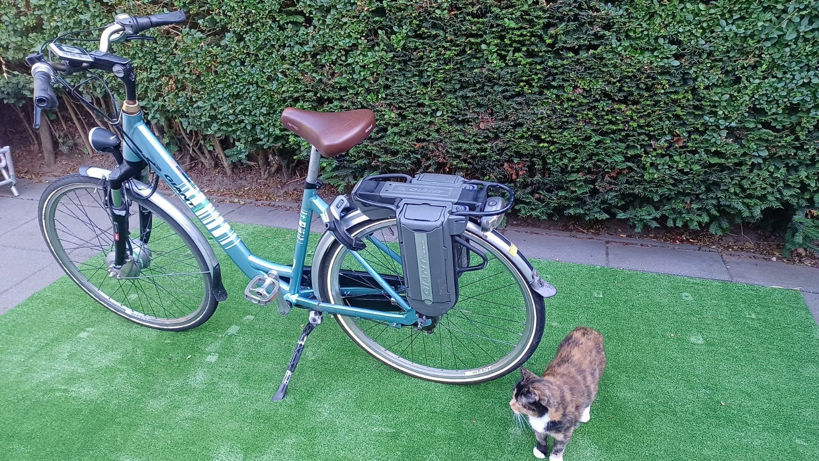 Giant Twist Go Power 2 elektrische fiets, Fietsen en Brommers, Gebruikt, 51 tot 55 cm, 30 tot 50 km per accu, Giant
