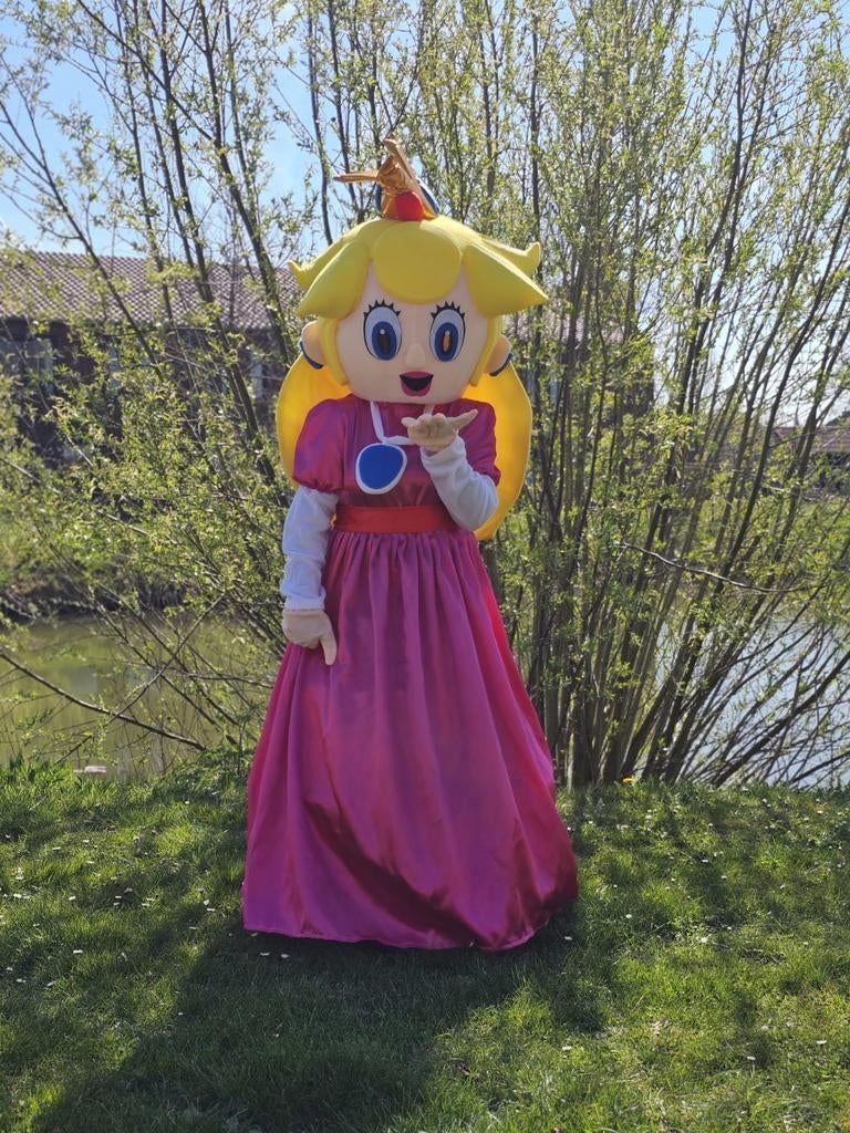 Mascotte pakken te koop zie fotos , kinderfeestje? Thema?, Ophalen