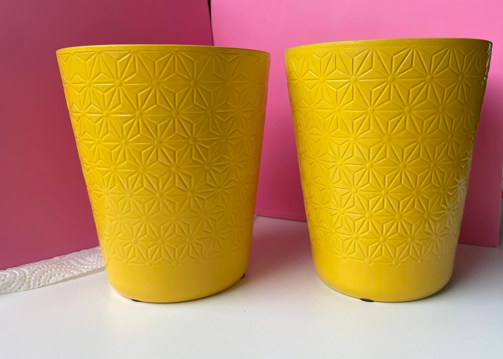 Set van 2  gele bloempotten-Gusmania deseo Yellow, Diversen, Pasen, Ophalen, Zo goed als nieuw