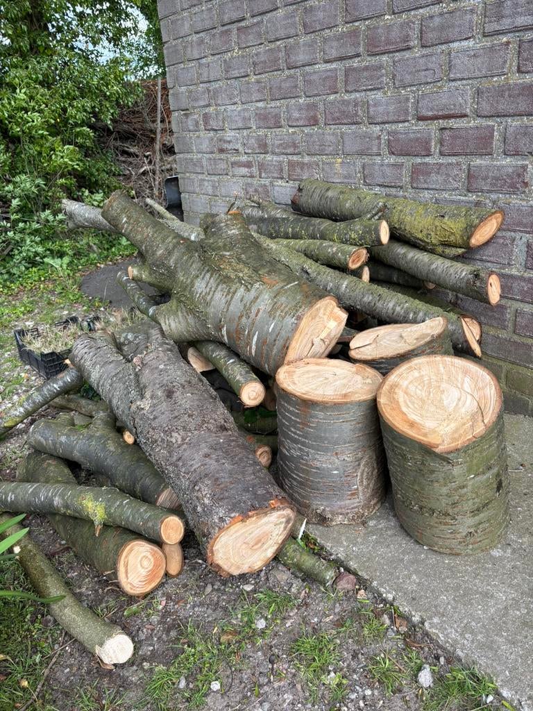 Brandhout stammen, Tuin en Terras, Haardhout, Minder dan 3 m³, Ophalen of Verzenden, Overige houtsoorten, Stammen