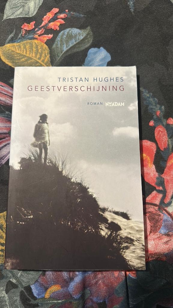 T. Hughes - Geestverschijning, Verzenden, Zo goed als nieuw, T. Hughes