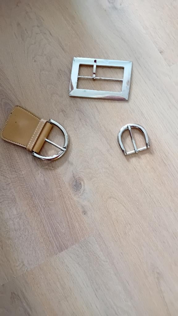 Gespen 3 stuks voor riemen of idd, Ophalen of Verzenden, Nieuw, Overige kleuren, 115 cm of meer
