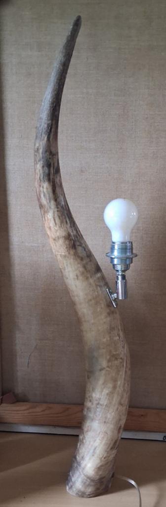 Vloerlamp. Buffelhoorn oid. 80 cm., Ophalen, Zo goed als nieuw, Overige materialen, Minder dan 100 cm