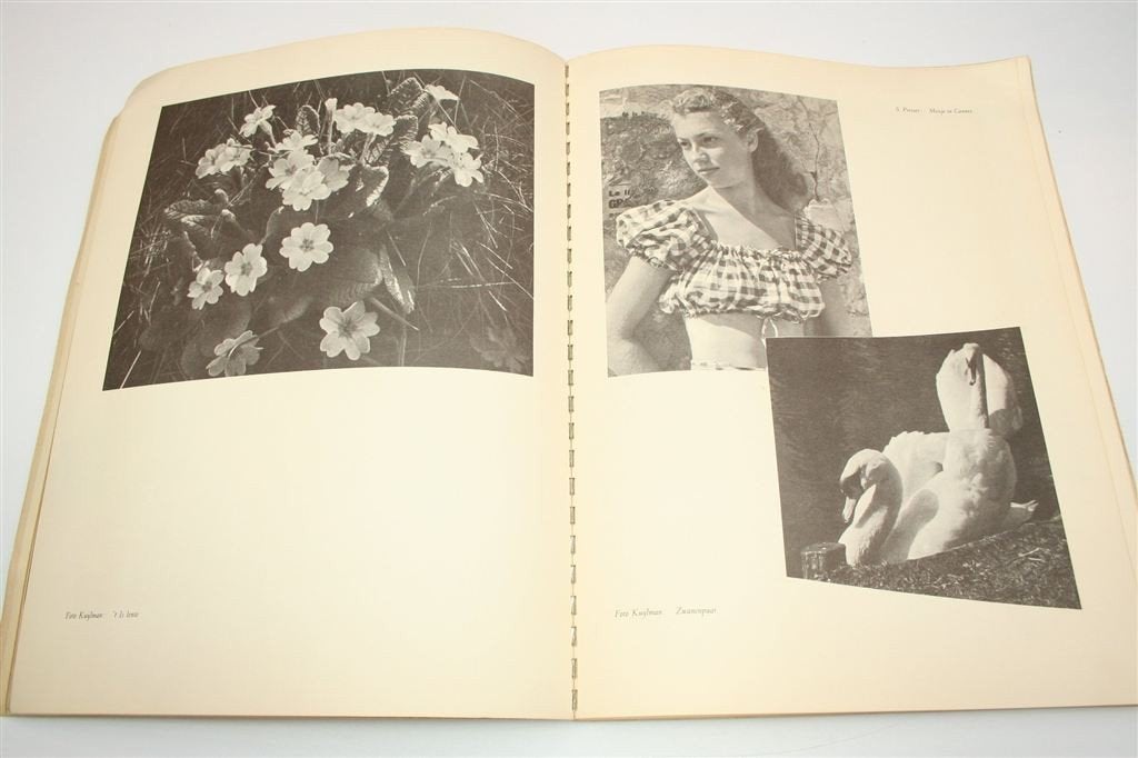 Steendruk, Offsetdruk — Grafisch Vakboek [1950], Ophalen of Verzenden, Gelezen, Bouwkunde