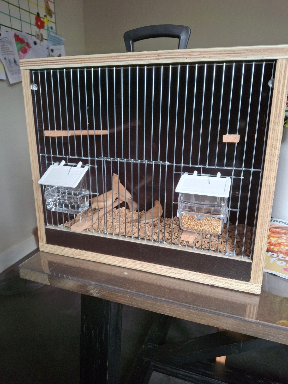 Mooie Zilverbekjes, Dieren en Toebehoren, Ophalen, Hout, Vogelkooi