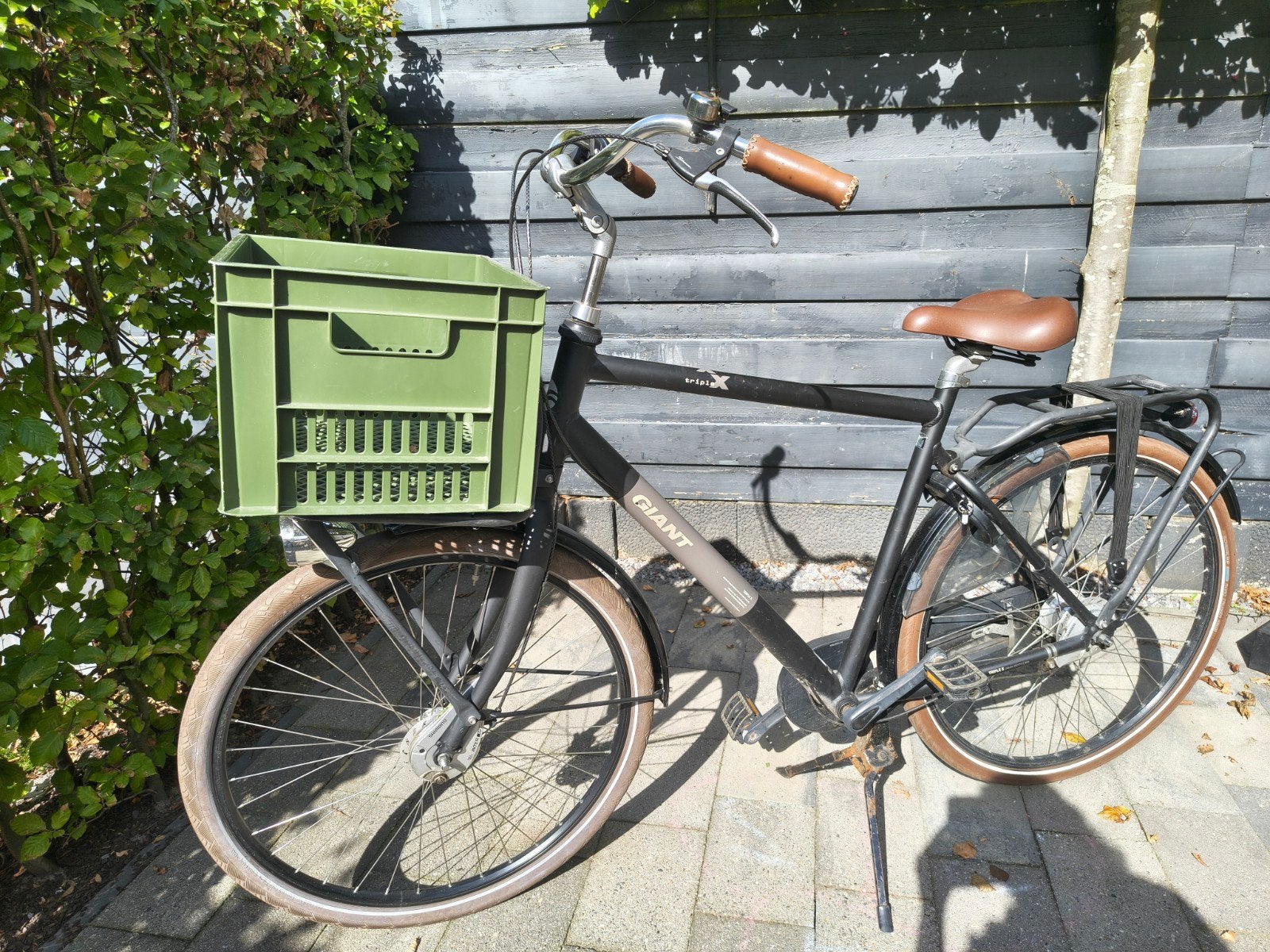Stadsfiets, 55 tot 59 cm, Ophalen, Gebruikt, Giant