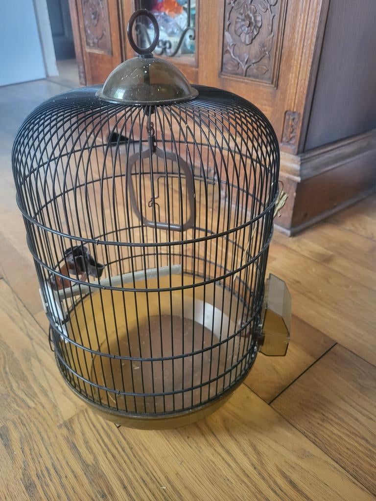 Vogelkooi, Ophalen, Metaal, Vogelkooi