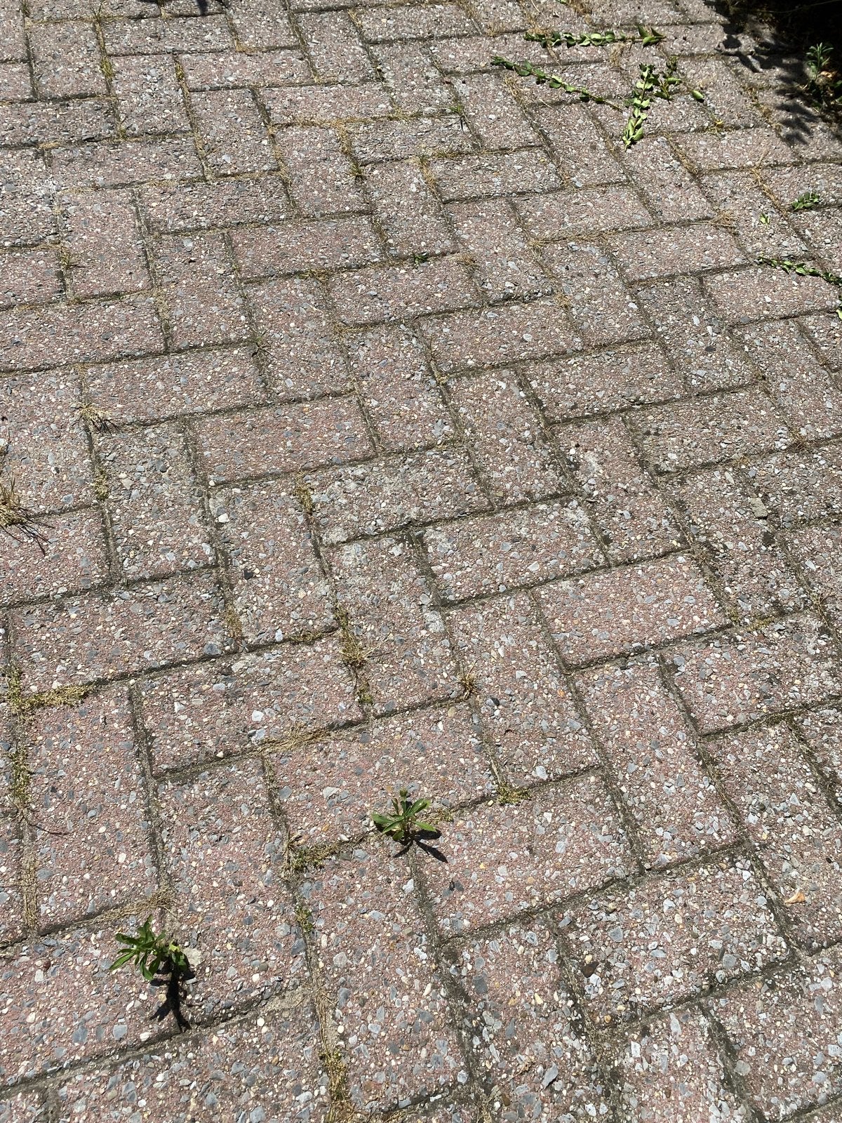 Gratis af te halen +/- 36m2 klinkers, Doe-het-zelf en Verbouw, Tegels, Ophalen, Overige materialen, Gebruikt, Minder dan 20 cm