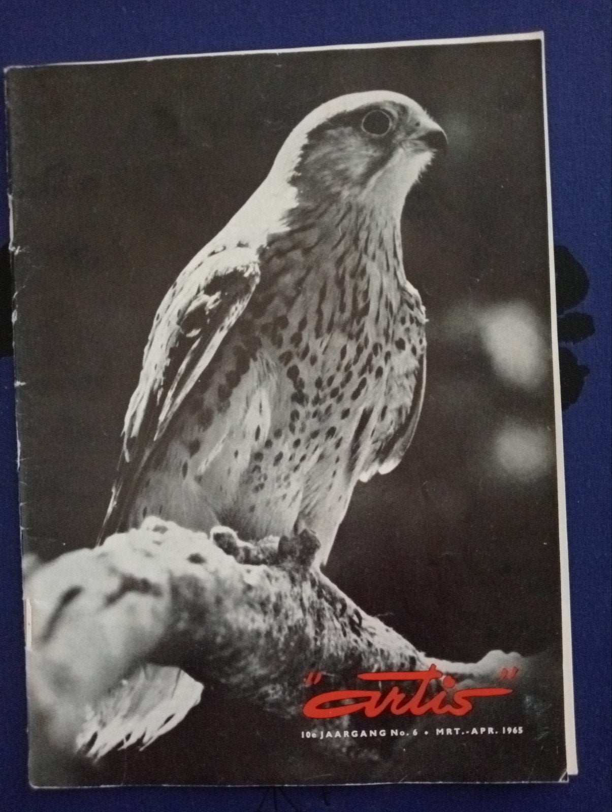 Artis Magazine 1965 - 10e Jaargang No. 6, Ophalen of Verzenden, Gelezen, Wetenschap en Natuur