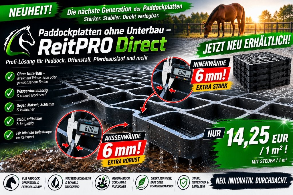 Paddockplaten kopen & Grasroosters voor Bodemstabilisatie, Weidegang