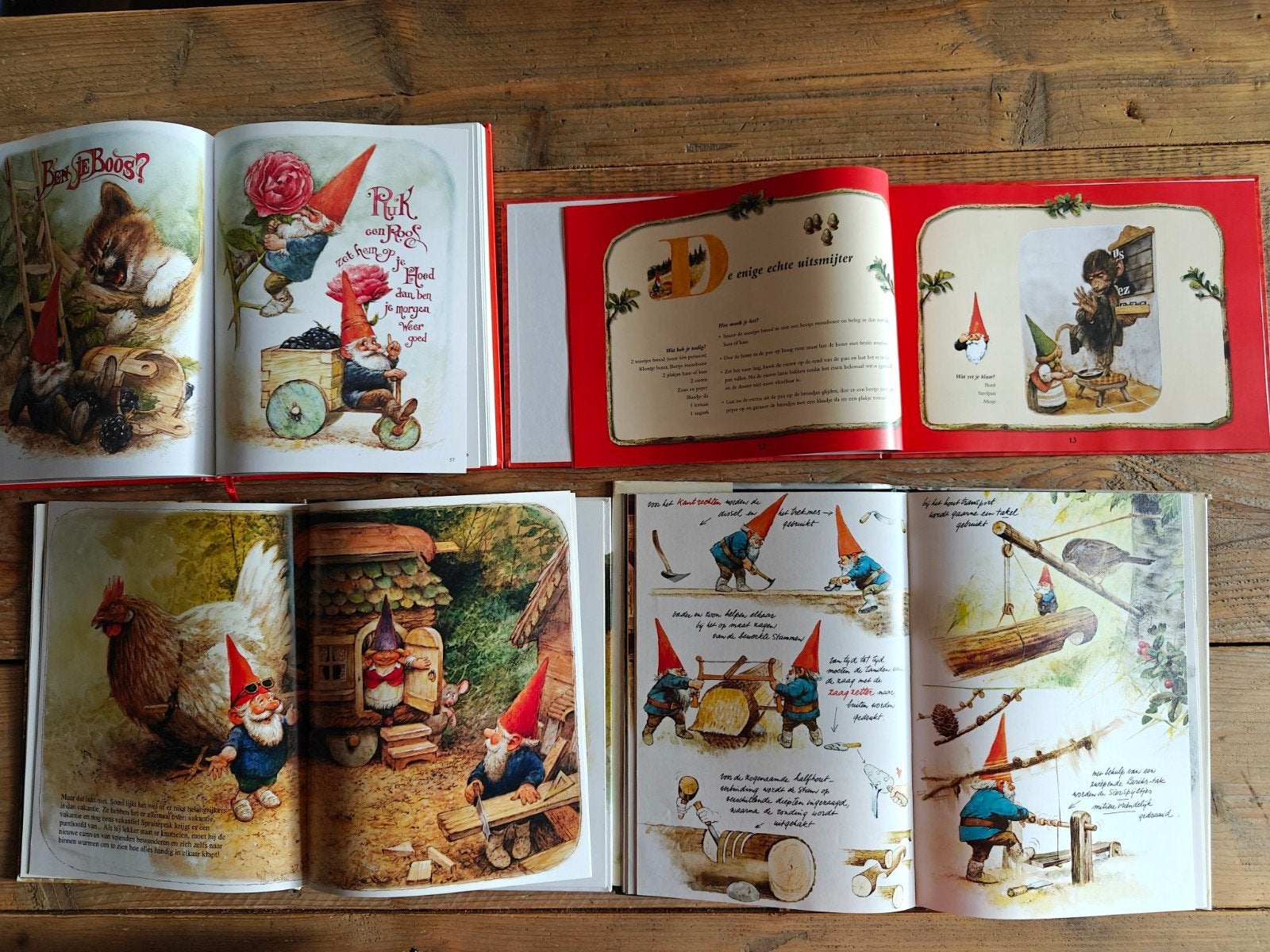 4 Kabouter boeken van Rien Poortvliet., Ophalen of Verzenden, Zo goed als nieuw