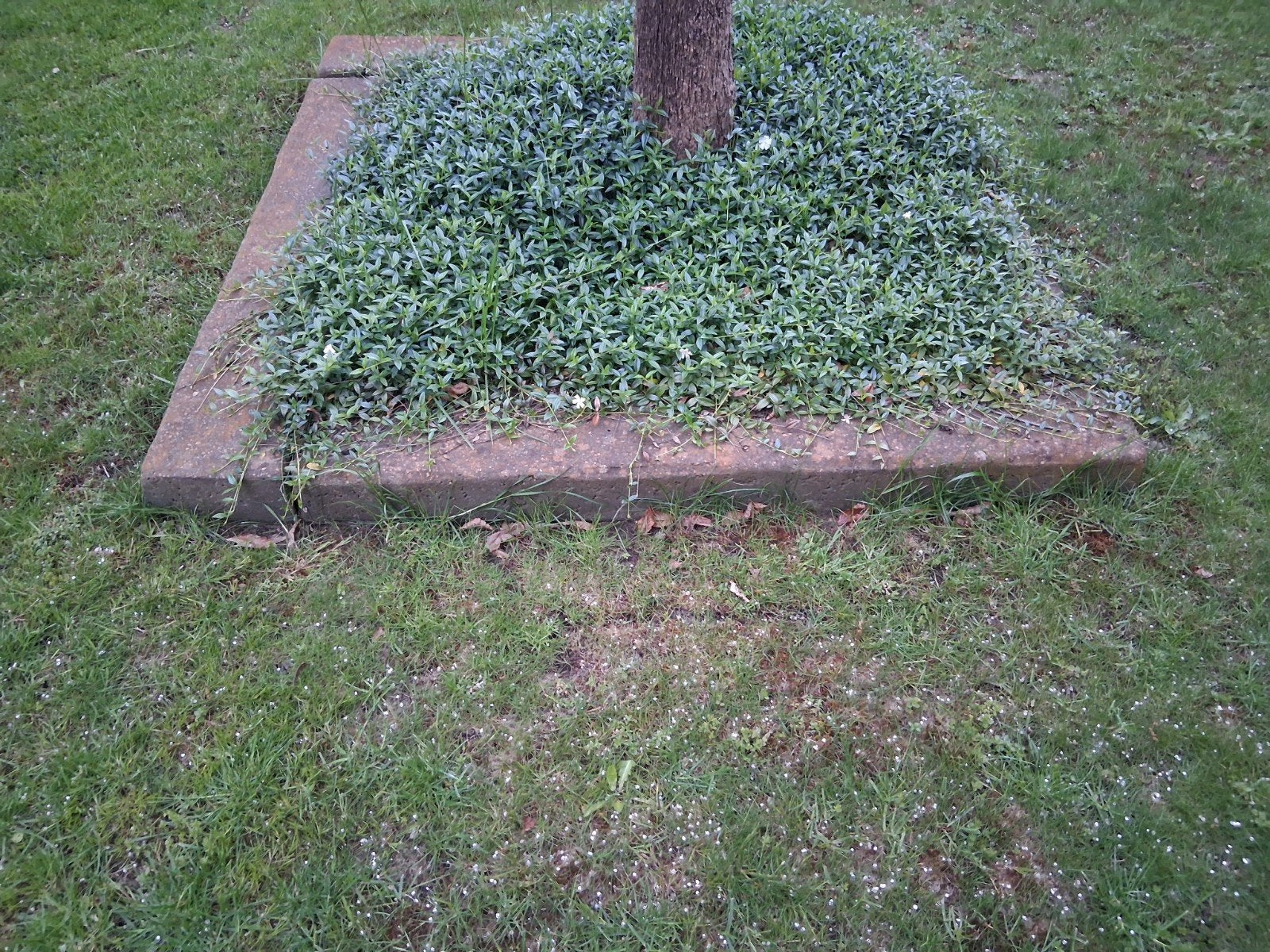 Betonnen bielzen 120x20x15 cm, Tuin en Terras, Ophalen, Gebruikt, 100 tot 200 cm, Biels