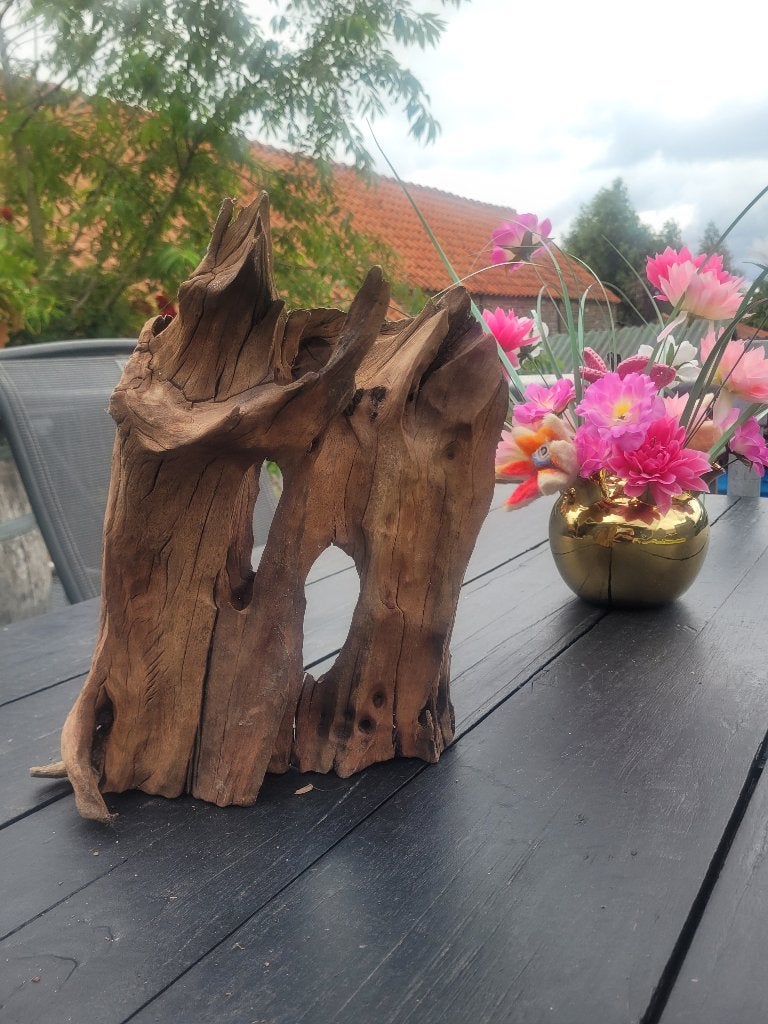 Kienhout  driftwood mangrove hout aquarium terrariumm, Dieren en Toebehoren, Ophalen of Verzenden, Zo goed als nieuw, Plant(en), Steen of Hout
