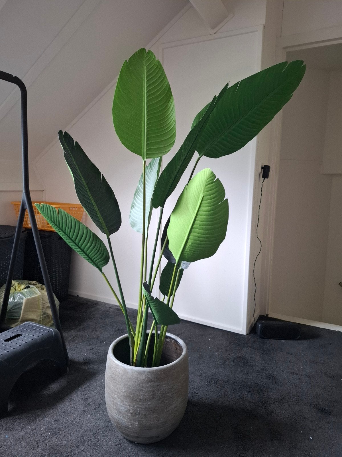 Kunstplant Strelitzia, Ophalen, Zo goed als nieuw