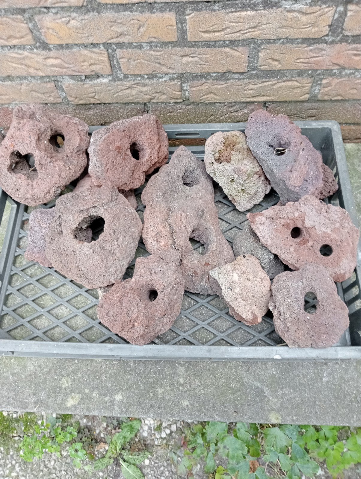 lavasteen met gaten!, Ophalen, Plant(en), Steen of Hout