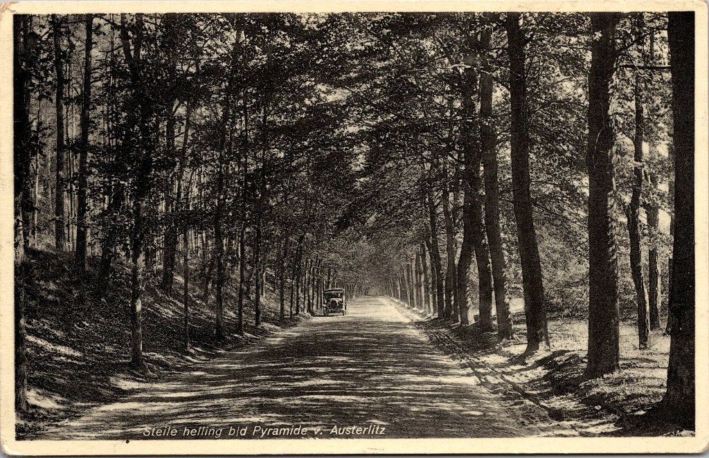 Austerlitz Natuur - 6 vintage ansichtkaarten, Verzenden, 1940 tot 1960, Gelopen, Utrecht