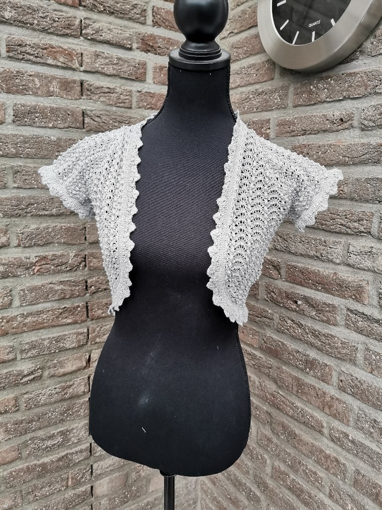 Ccdk zilver-grijs bolero vestje maat s/m, Kleding | Dames, Ccdk, Ophalen of Verzenden, Zo goed als nieuw, Maat 34 (XS) of kleiner