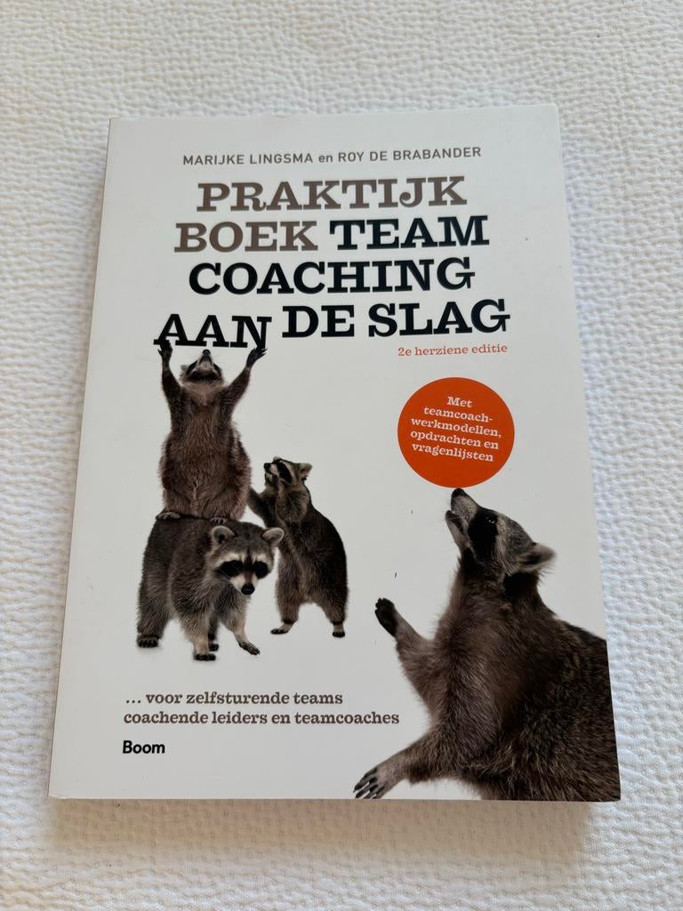 Praktijkboek Teamcoaching - Marijke Lingsma & Roy de Braband, Ophalen of Verzenden, Beta, Gelezen, HBO
