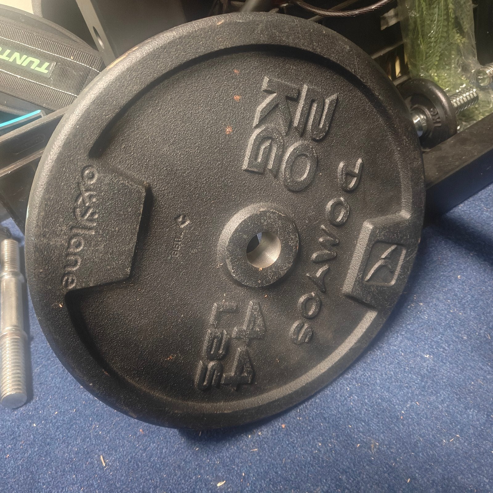 Domyos Halterschijven 20 KG - 4 stuks - Diameter 28mm, Ophalen, Zo goed als nieuw, Benen, Halterschijven