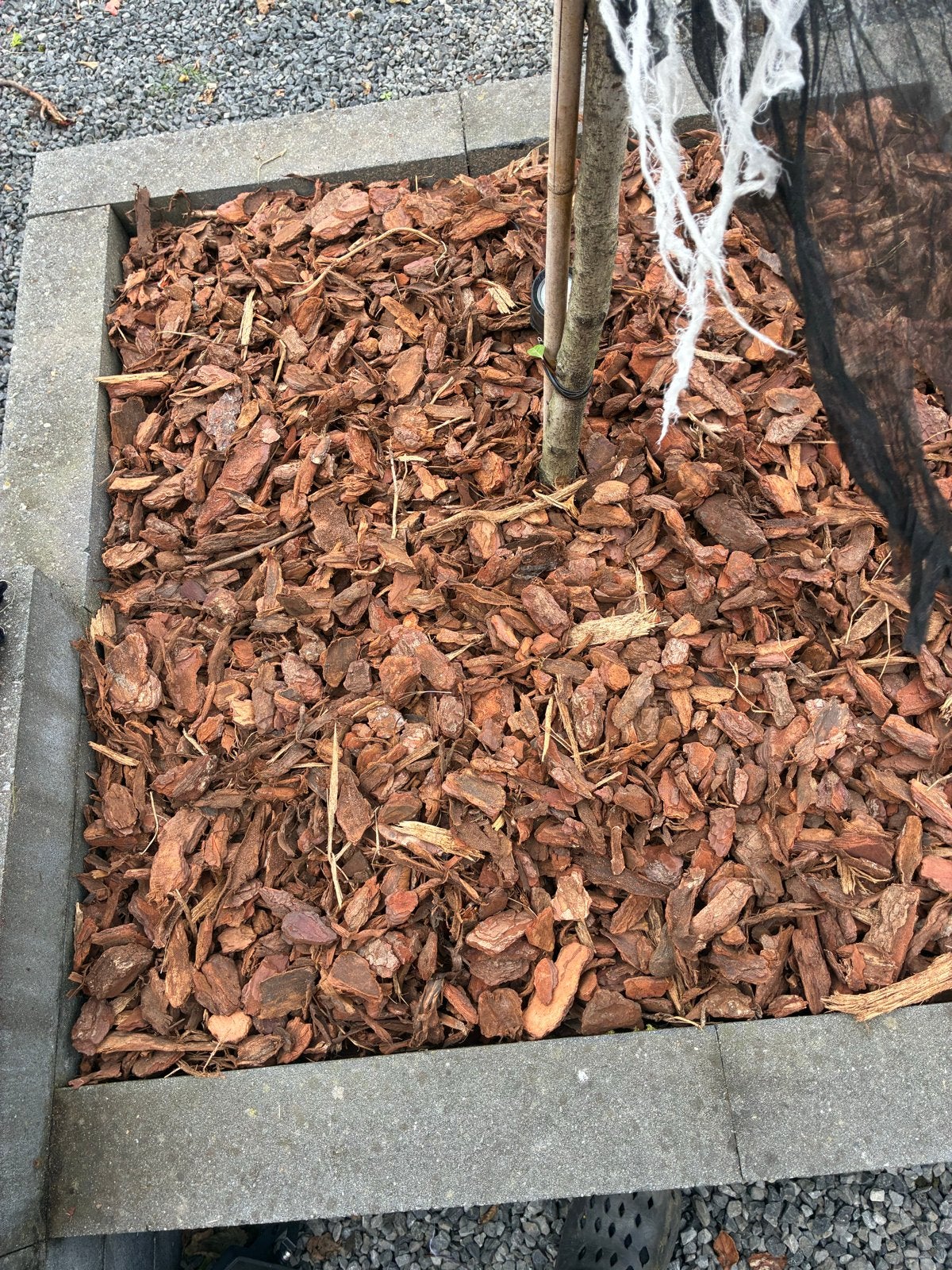 Franse Boomschors 0,5m3 in bigbag, Tuin en Terras, Ophalen, Nieuw, Overige typen