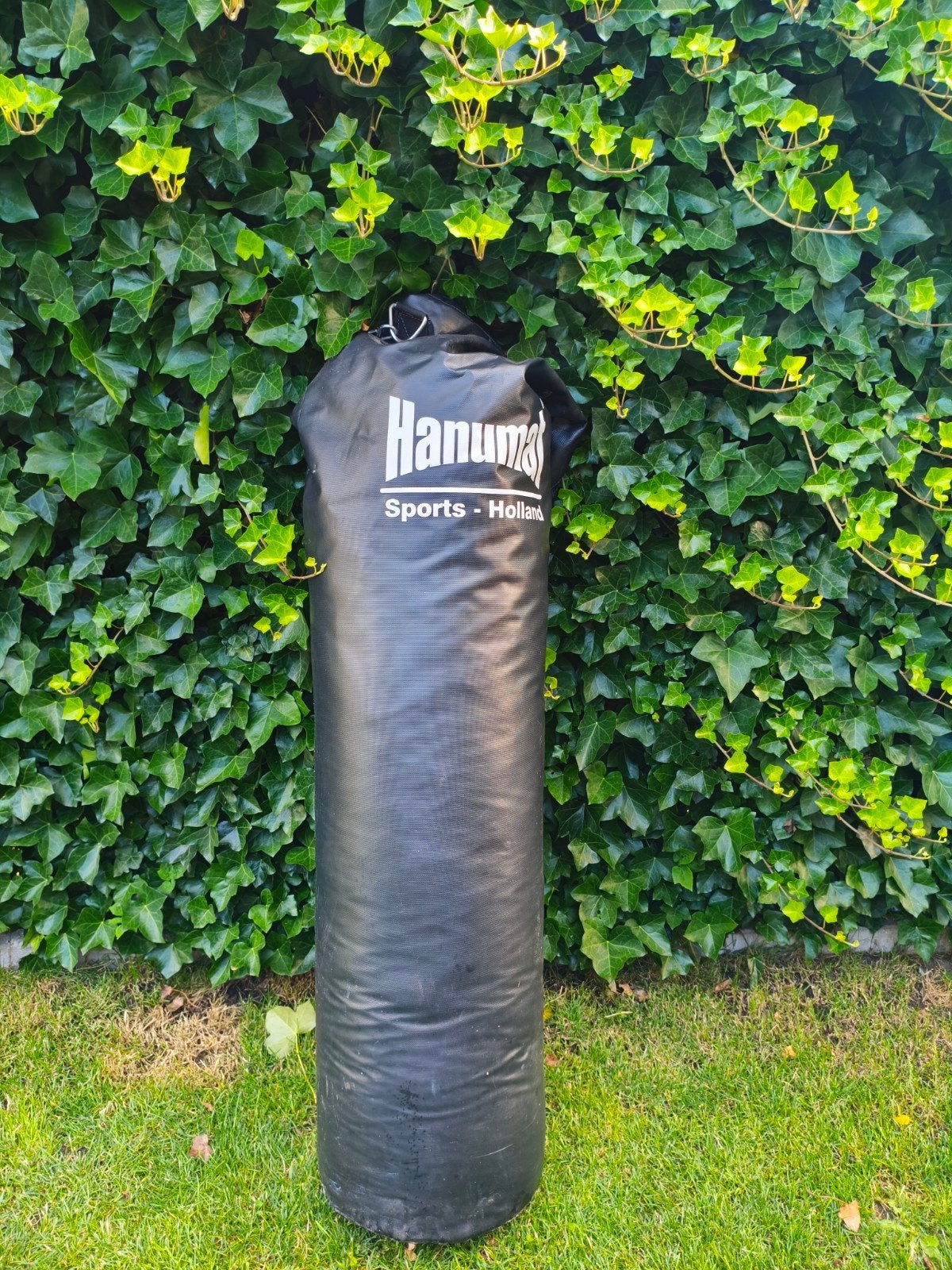 Everlast MMA Heavy Bag Gloves L/XL en Hanumas Bokszak, Ophalen of Verzenden, Zo goed als nieuw, Bokszak