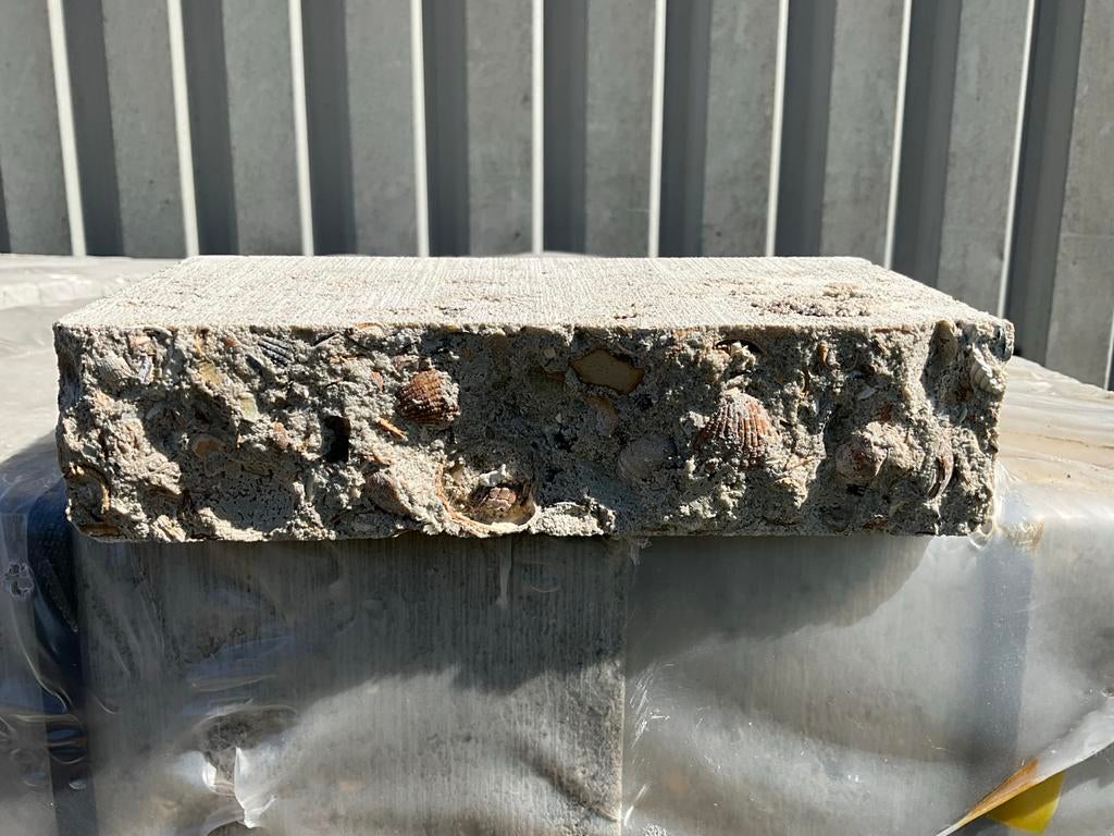 Metsel steen Rox Waddensteen met schelpen, Ophalen of Verzenden, Nieuw, Beton