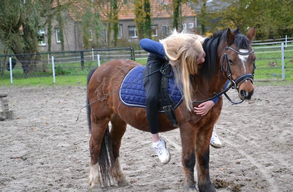 Verzorgpaardje gezocht!, Dieren en Toebehoren, Ophalen of Verzenden