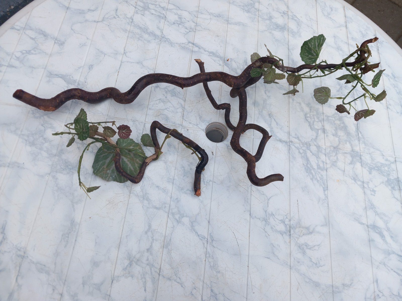 terrarium nep takken, Ophalen of Verzenden, Gebruikt, Tak, Plant, Rots of Steen