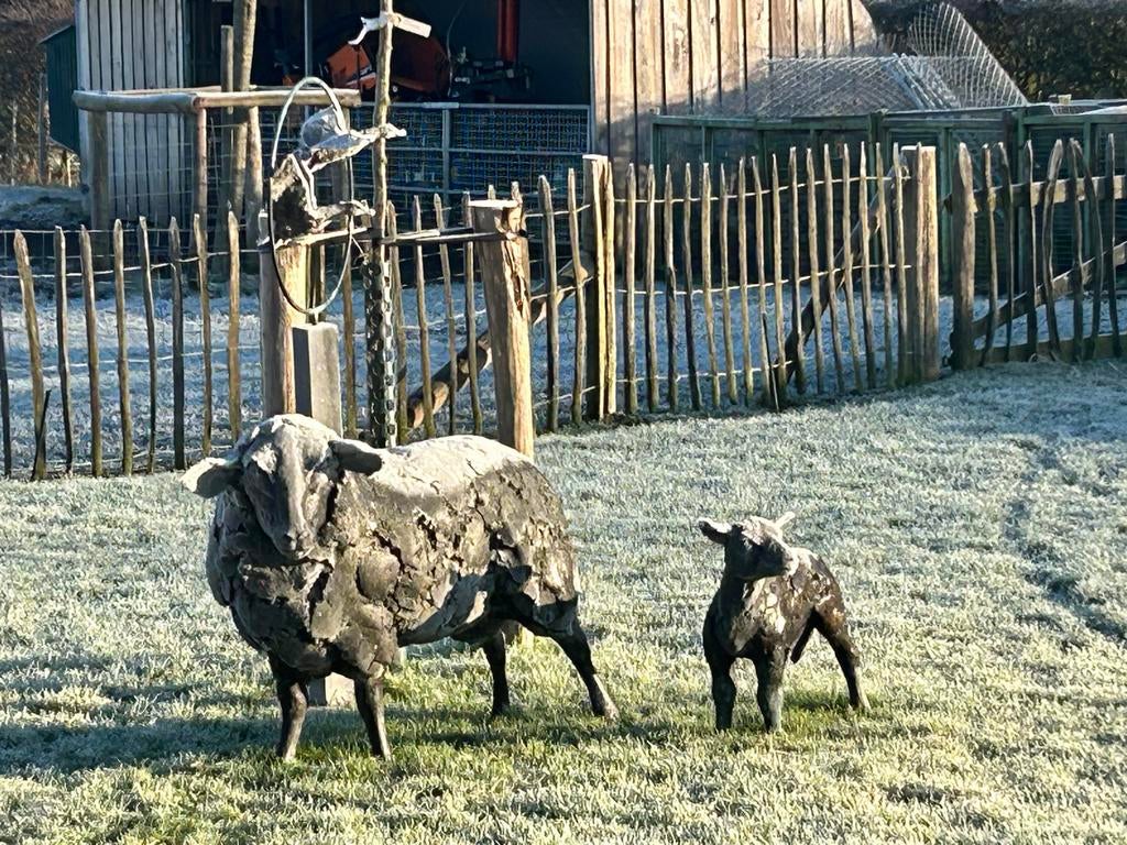 Uniek schaap en lammetje, werk van Ad Haring, Ophalen, 50 - 100 cm, Overige materialen, Beeld